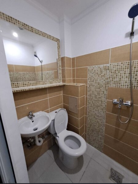 Petre Ispirescu, Salaj Pricopan