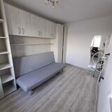 Petre Ispirescu, Salaj Pricopan